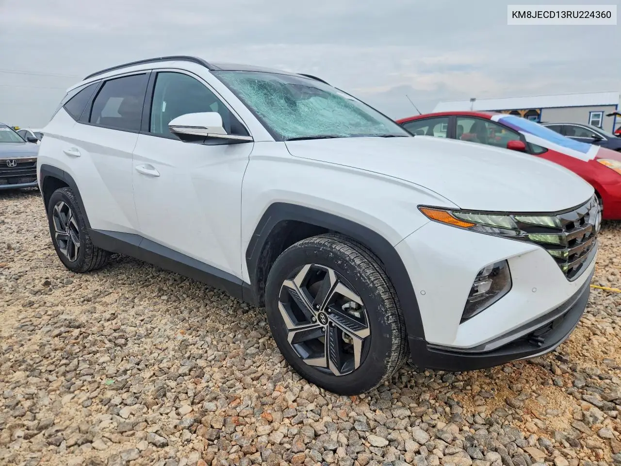 Auction sale of the 2024 Hyundai Tucson , vin: KM8JECD13RU224360, lot number: 55228516